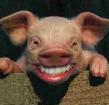 pig-lipstick.jpg