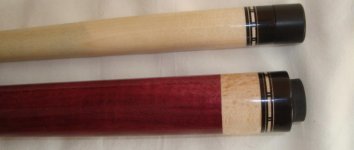 rat cue 006 (2).jpg