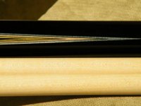 whitten 1x2 and Kikel 208.JPG