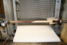 coco unwrapped IMG_0330.jpg