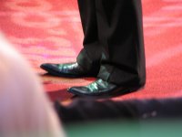 IMG_1193 (Large).JPG