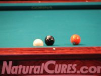 IMG_1194 (Large).JPG