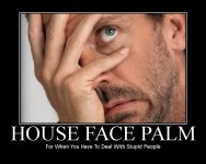 3bcf4274_n79020_facepalm2028house29.jpg