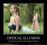 opticalillusion.jpg