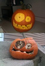 pumpki on meth.jpg