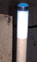IMAG0316.jpg
