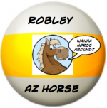Robley-T:Patch.png