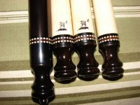 Samsara and Gilbert Pics 001.JPG