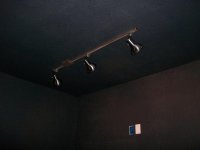 track lights (10).jpg