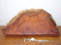 DSC01686.jpg