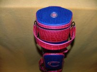 whitten cubs 008.jpg