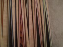 forearms 2012 018.jpg