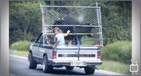 things-you-dont-see-everyday35.jpg
