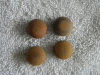 DSCN1062.jpg