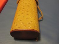 cent case 029.JPG