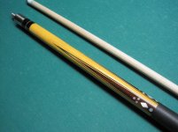 Picturescanon2011cuesjanuary 566.jpg