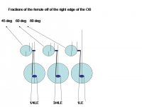 ferrule view Thin 1 1.jpg