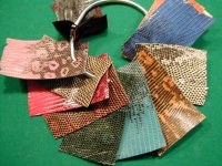 Lizard colors and Ostrich 007.jpg