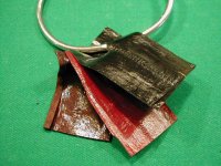 Lizard colors and Ostrich 006.jpg