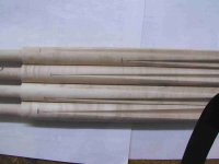 forearm2.jpg