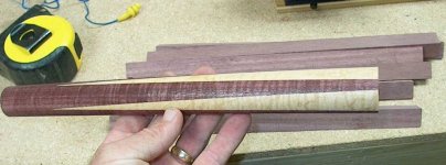 curly-purple-1.jpg