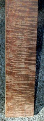 CocoboloBoard1 (2).jpg
