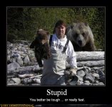 stupid1.jpg
