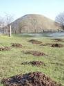mountain mole hill.jpg