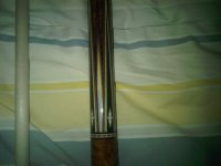 IMG-20120116-00495.jpg