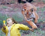 RAR.jpg