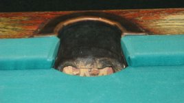 Corner Pocket (21).JPG
