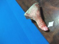 fingerchop.jpg