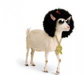 oxfam-goat.jpg