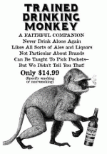 monkey.gif