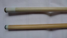 Optimized-P1000569.JPG