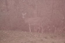 IMG_0060.JPG