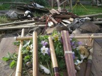 SQUEAKY SEATH PICTURES 041 (27).jpg