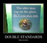double standards.jpg
