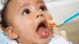 SpoonFeeding.gif