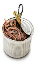 worms.jpg