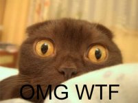 OMG WTF.jpg
