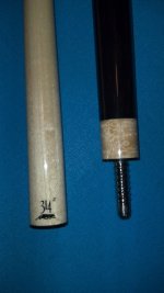 Predator cue 4.JPG