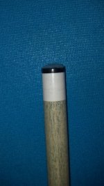 Predator cue 5.JPG