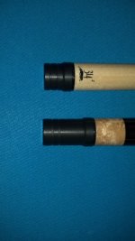 Predator cue 6.JPG