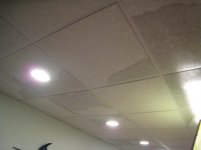 ceil-tiles-wet-6.jpg