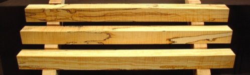 ZCCCurlySpaltedMaple.jpg