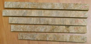 burl 1.jpg burl 1.jpg