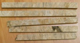 burl 2.jpg burl 2.jpg