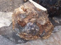Hard Maple Burl 012.jpg