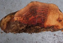 Hard Maple Burl 008.jpg